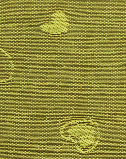 6186 - �𰡵�(��������)