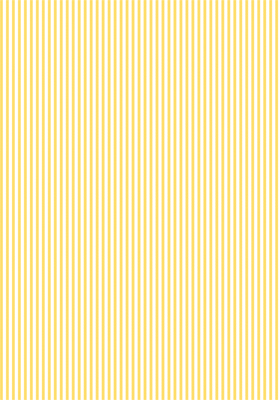 458(DTP������)