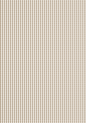 526(DTP������)