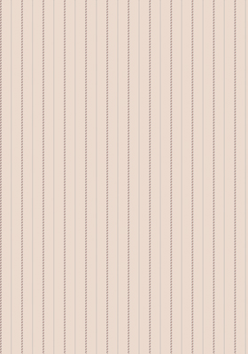 558(DTP������)