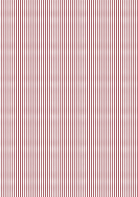 509(DTP������)