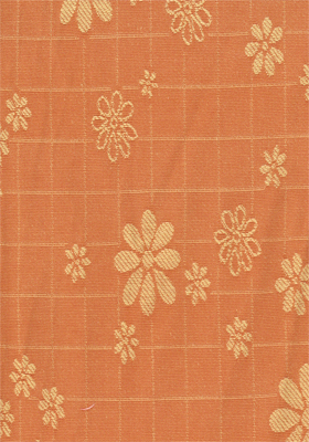 565(DTP������)